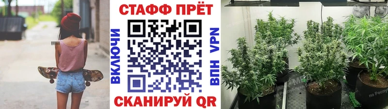 Купить закладку МЕТАМФЕТАМИН  АМФ  Меф мяу мяу  ГАШИШ  Бошки Шишки  НБОМе  Alpha-PVP  Плавск