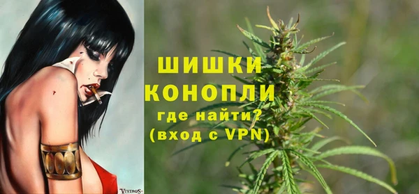 сатива Горно-Алтайск