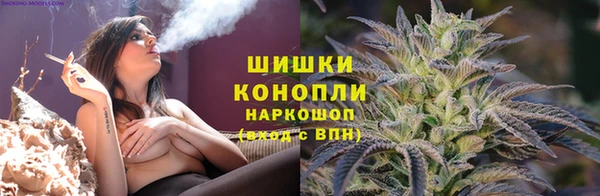 сатива Горно-Алтайск