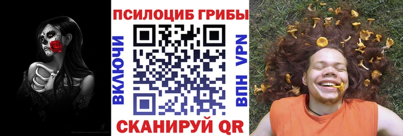 Псилоцибиновые грибы Cubensis  Купить  Плавск 