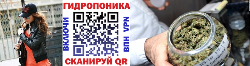 Шишки марихуана VHQ  Купить закладки  Плавск 